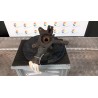 MONTANTE SOSP. ANT. SX. 032 RENAULT KANGOO (01/08-05/13) K9KD8 8200755585