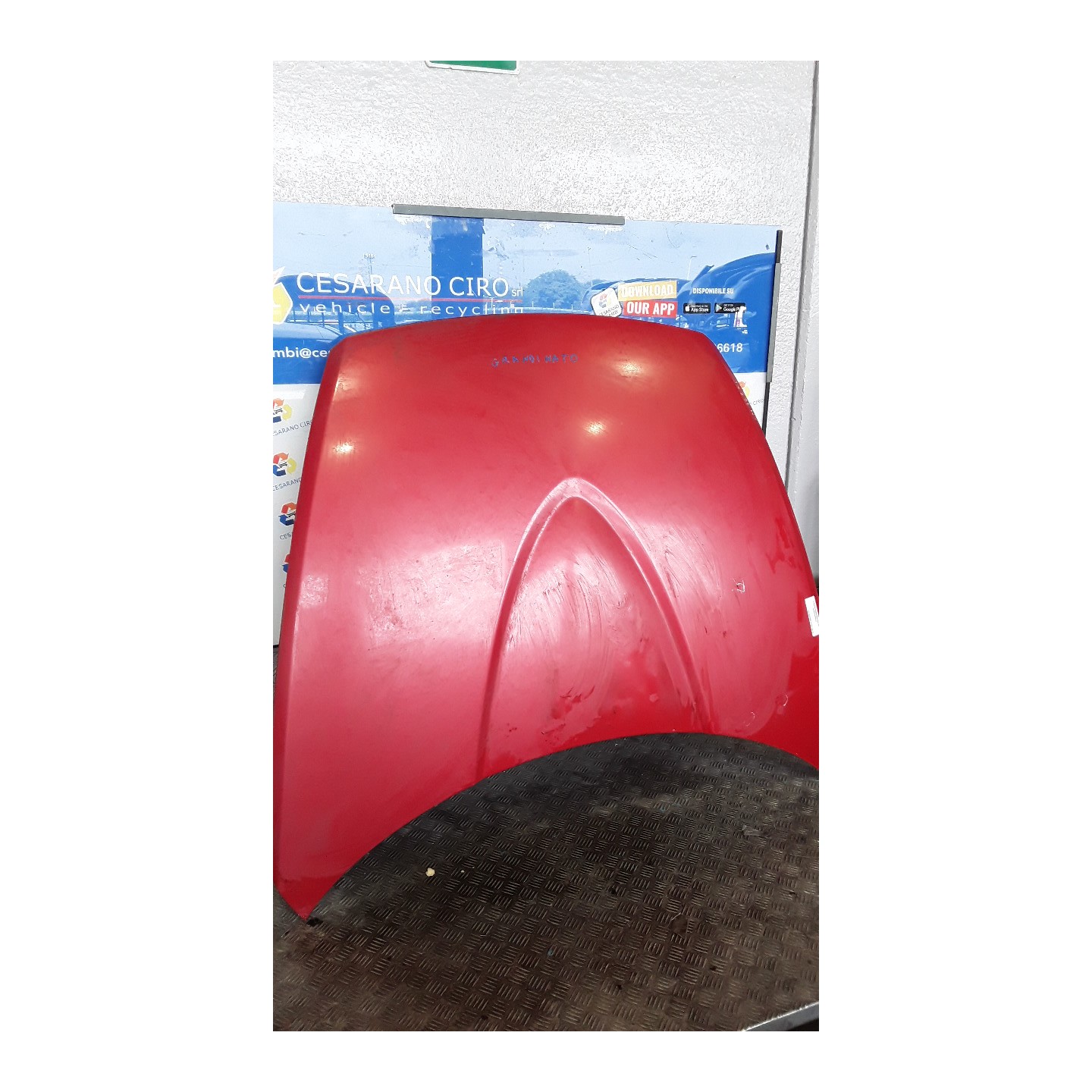 COFANO ANT. 056 MAZDA RX-8 (04/03-01/09) 13B FEY15231X