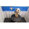 POMPA CARBURANTE 127 TOYOTA AYGO 1A SERIE (04/05-10/14) 1KRFE 772400H010