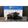 AMMORTIZZATORE ANT. DX. 008 DACIA DUSTER (03/10-12/13) K4MA6 8200813791