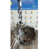 CAMBIO COMPL. 044 CHEVROLET (DAEWOO) CAPTIVA (C100) (07/06-03/11) Z24SED 96420020