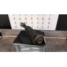 AMMORTIZZATORE ANT. DX. 148 CHEVROLET (DAEWOO) MATIZ (M100) (12/00-02/06) B10S 96336490
