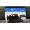 AMMORTIZZATORE ANT. SX. 066 OPEL INSIGNIA (G09) (12/08-10/13) A20DT 13245966