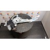 ALZACRISTALLO ELETTR. PORTA ANT. DX. 120 OPEL MERIVA (X03) (03/03-12/10) Z14XEP 93186831