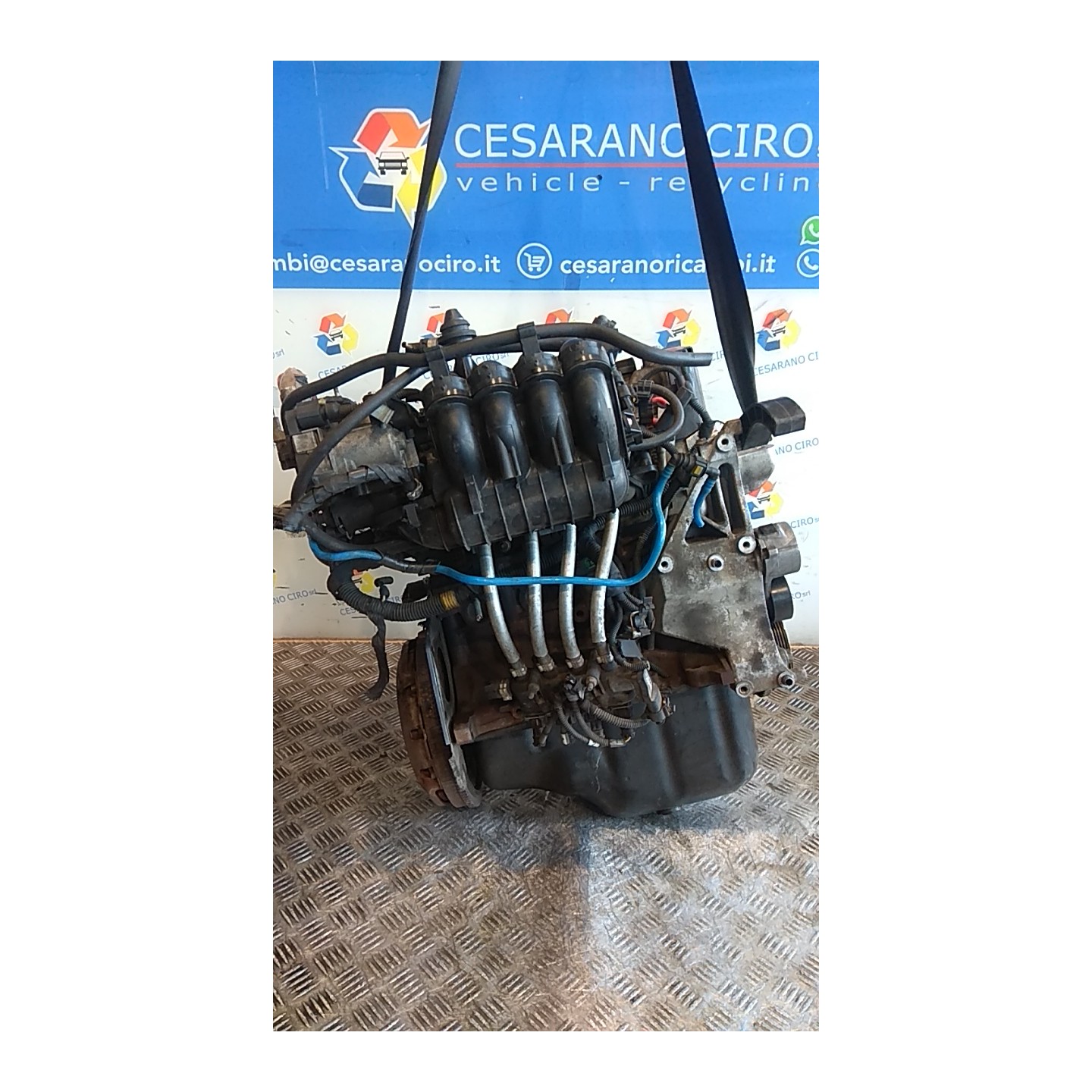 MOTORE SEMICOMPL. EURO 4 003 FIAT PUNTO EVO (3J) (08/09-07/13) 169A4000 71751115