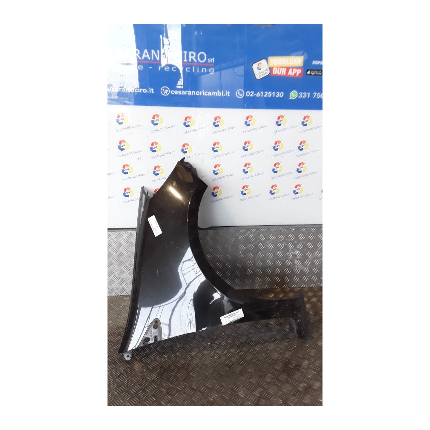 PARAFANGO ANT. P/CERCHI 15 DX. 083 RENAULT CLIO 3A SERIE (07/05-05/09) D4FD7 631003362R