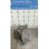 CAMBIO COMPL. CP 19 X 71 003 CITROEN DS4 (03/11-10/15) 9HR 2231E5