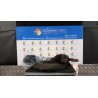 SEMIALBERO ANT. COMPL. DX. 079 ALFA ROMEO MITO (X6) (06/08-06/11) 955A3000 50515474