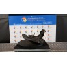 MONTANTE SOSP. ANT. C/MOZZO/CUSCINETTO/PROT.DISCO SX. 092 SMART FORTWO (A/C451) (01/07-12/11) 3B21 A4513300159