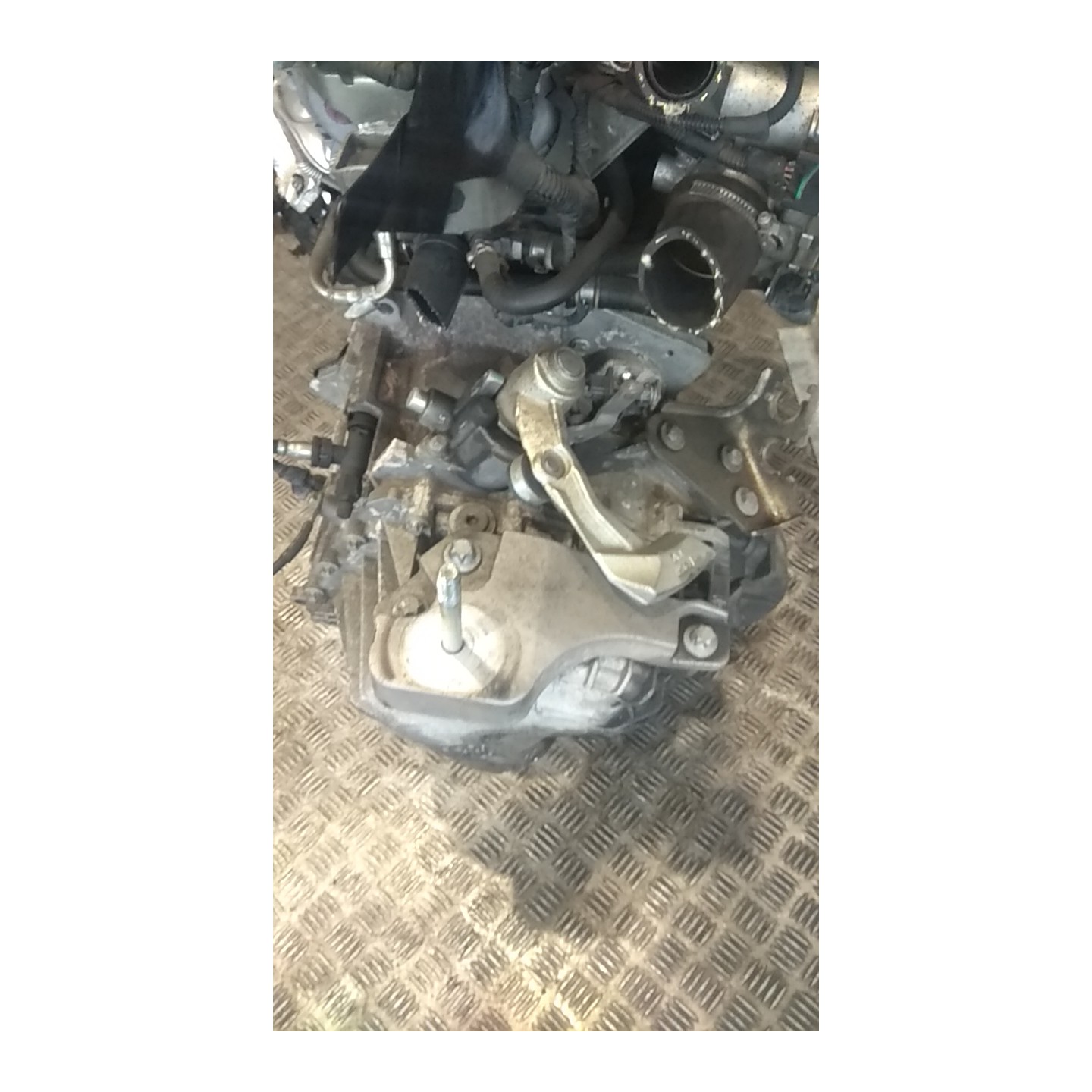 CAMBIO COMPL. 067 FIAT BRAVO (3L) (01/07-03/10) 198A4000 55566457