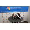 COMPRESSORE A/C 038 TOYOTA YARIS (03/99-11/05)     (JPP) 1SZFE 8832052010