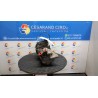 COMPRESSORE A/C 054 ALFA ROMEO MITO (X6) (06/08-06/11) 955A3000 51897475