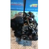 MOTORE SEMICOMPL. 022 PEUGEOT 206 (09/98-06/09) RFN 135HJ