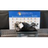 AMMORTIZZATORE ANT. SX. 045 ALFA ROMEO 159 (X3/X9) (07/05-06/13) 939B1000 50515149