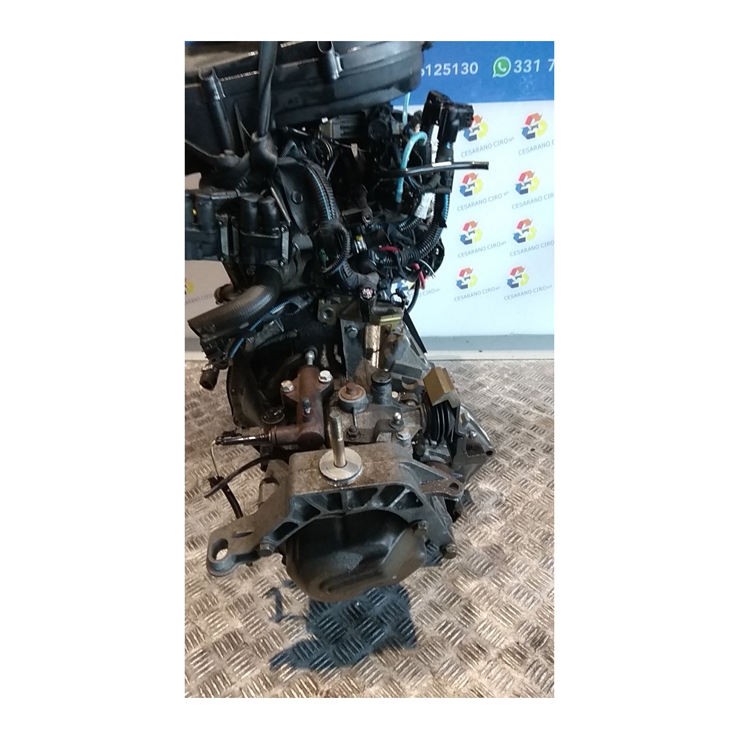 CAMBIO COMPL. 137 FIAT PUNTO (1N/1P) (07/99-12/05) 188A4000 55205200