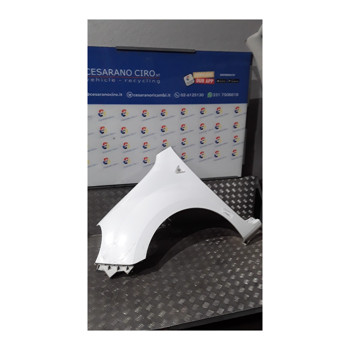 PARAFANGO ANT. SX. 173 RENAULT KANGOO (01/08-) K9KD8 631011587R