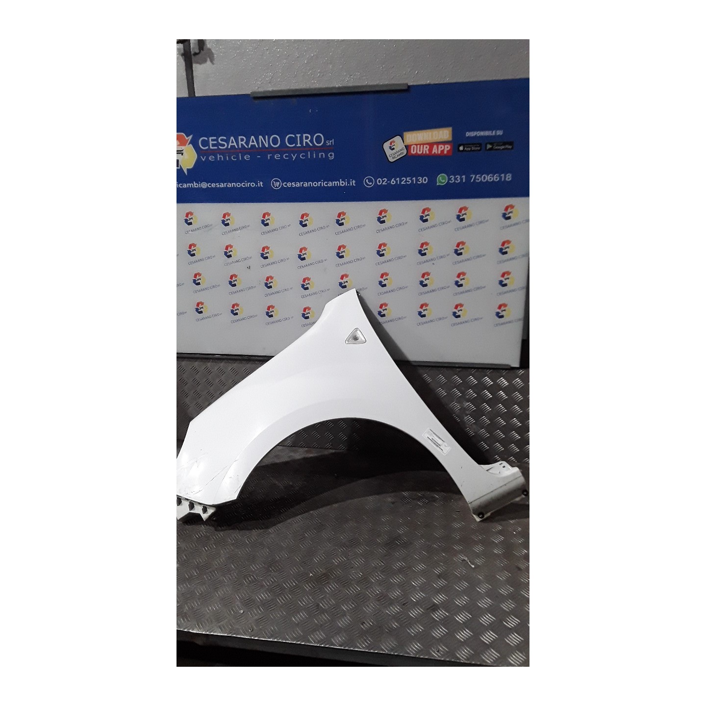 PARAFANGO ANT. SX. 173 RENAULT KANGOO (01/08-) K9KD8 631011587R