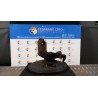 MONTANTE SOSP. ANT. C/ABS SX. 066 FORD FOCUS (CAK) (10/01-04/05) FYDB 1079001