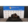 MONTANTE SOSP. ANT. DX. 070 FIAT GRANDE PUNTO (2Y) (06/05-12/08 199A3000 51776380