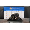 AMMORTIZZATORE ANT. CAMPO MOLLEG. 13/14/19/20 DX. 050 VOLKSWAGEN GOLF (1K) (10/03-12/09) BLF 1K0413031BG