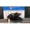 AMMORTIZZATORE ANT. SX. 079 DACIA DUSTER (03/10-12/13) K9KE8 8200813791
