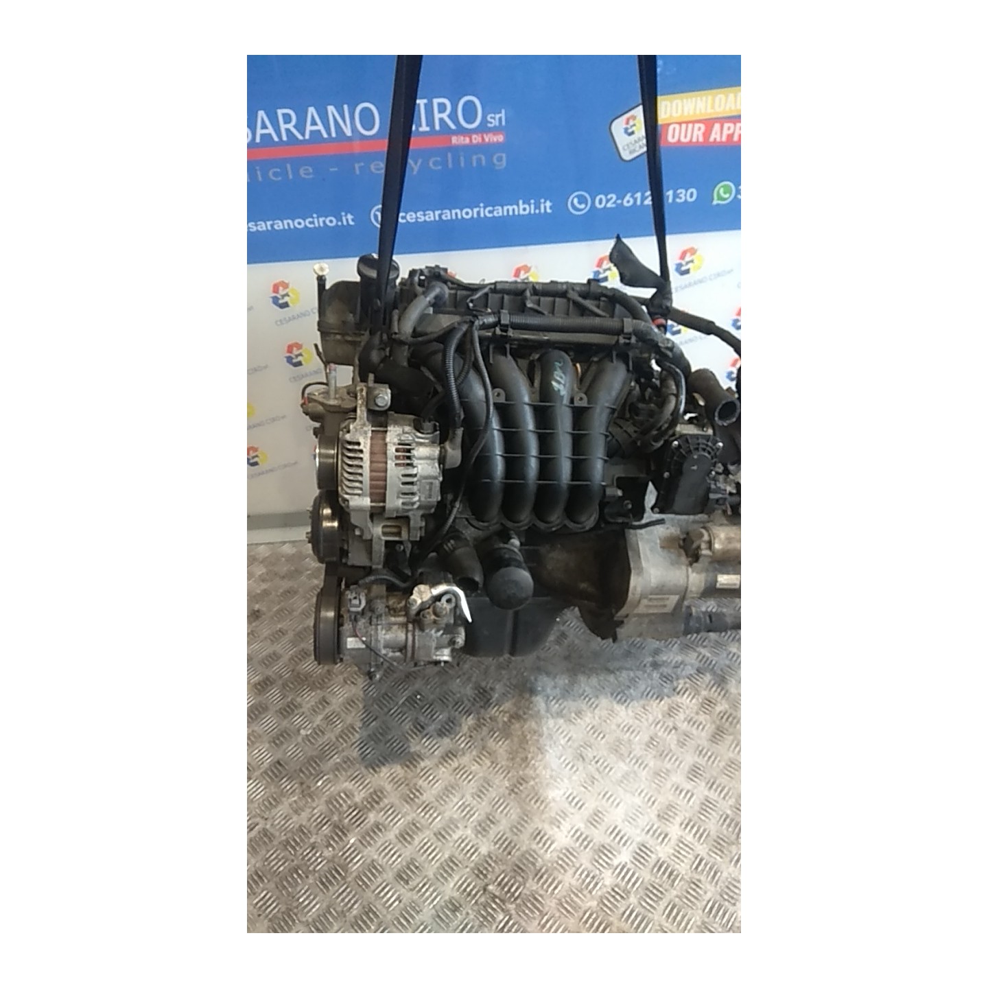 MOTORE COMPL. 055 MITSUBISHI COLT (06/04-12/09) 135930 MN195771