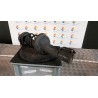 AMMORTIZZATORE ANT. SX. 080 RENAULT TWINGO 2A SERIE (06/07-02/12) K9K17 8200367898