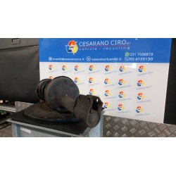 AMMORTIZZATORE ANT. SX. 080 RENAULT TWINGO 2A SERIE (06/07-02/12) K9K17 8200367898