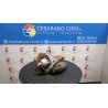 MOTORINO AVVIAMENTO ROTAZIONE 162 VOLVO C30 (10/06-) D4164T 8603690