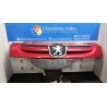 GRIGLIA PARAURTI ANT. 181 PEUGEOT RANCH (M59) (11/02-08/09) NFU 7414CT