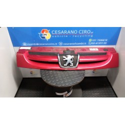 GRIGLIA PARAURTI ANT. 181 PEUGEOT RANCH (M59) (11/02-08/09) NFU 7414CT