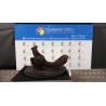 MONTANTE SOSP. ANT. DX. 062 RENAULT MEGANE 2A SERIE (09/02-02/06) K9KP7 8200297032
