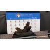 MONTANTE SOSP. ANT. SX. 063 RENAULT MEGANE 2A SERIE (09/02-02/06) K9KP7 8200297026
