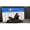 MONTANTE SOSP. ANT. SX. 063 RENAULT MEGANE 2A SERIE (09/02-02/06) K9KP7 8200297026