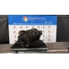 AMMORTIZZATORE ANT. SX. 067 HYUNDAI I30 3A SERIE (01/17-07/23) D4FB 54651G4AB0