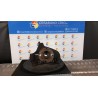 MONTANTE SOSP. ANT. DX. 072 FIAT PANDA (2Q) (09/03-12/10) 188A4000 51857220