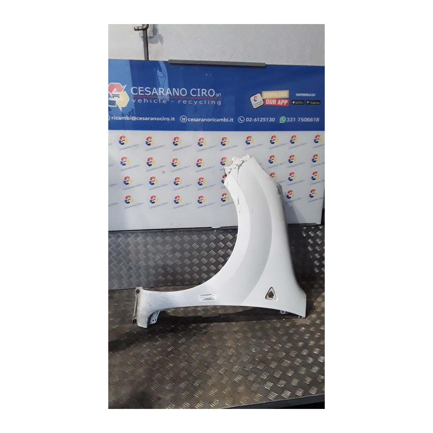 PARAFANGO ANT. SX. 015 RENAULT KANGOO (01/08-) K9KD8 631011587R