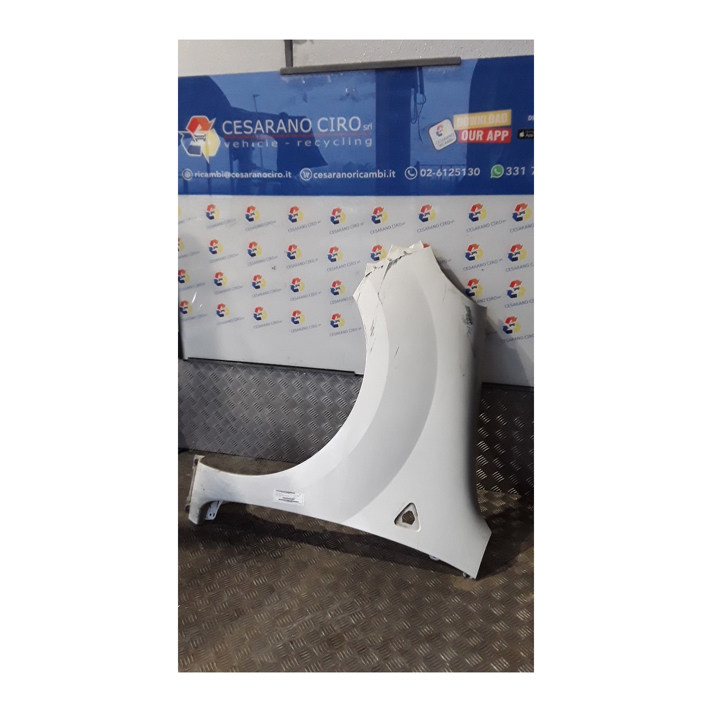 PARAFANGO ANT. SX. 015 RENAULT KANGOO (01/08-) K9KD8 631011587R