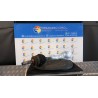 SEMIALBERO ANT. COMPL. SX. 032 FIAT PANDA (2Q) (09/03-12/10) 188A4000 46308260