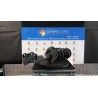 AMMORTIZZATORE ANT. DX. 044 OPEL ASTRA (A04) (01/04-03/11) Z13DTH 93195917