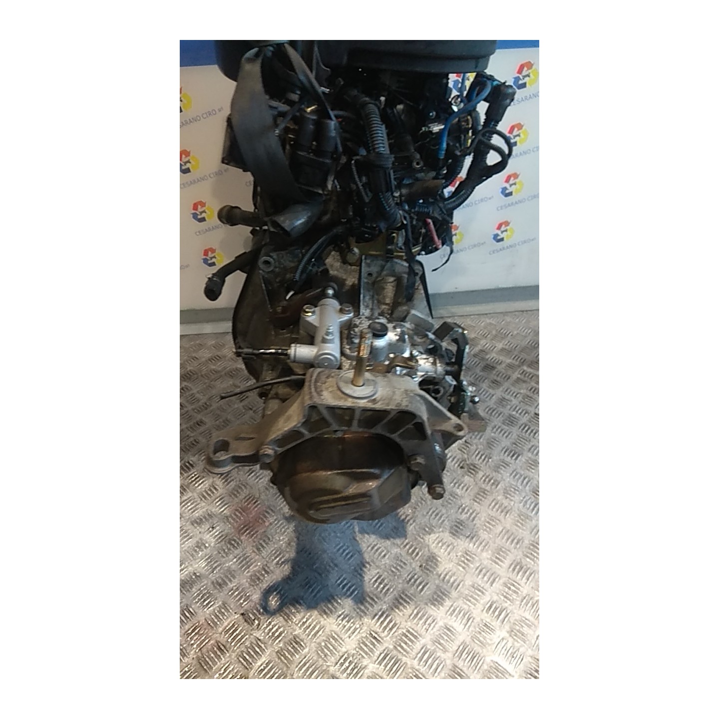 CAMBIO COMPL. 040 FIAT PUNTO (2U) (07/03-01/07) 188A4000 55205200