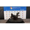MONTANTE SOSP. ANT. SX. 073 PEUGEOT EXPERT FURGONE 3A SERIE (12/06 9HU 364693