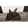 MONTANTE SOSP. ANT. SX. 073 PEUGEOT EXPERT FURGONE 3A SERIE (12/06 9HU 364693