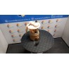 POMPA CARBURANTE C/TRASDUTTORE (GALLEGGIANTE) 118 RENAULT CLIO 2A SERIE (05/01-11/10) D7FG7 8200057324