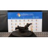 MONTANTE SOSP. ANT. DX. 064 FIAT IDEA (2S) (10/03-12/10) 843A1000 50702043