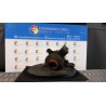 MONTANTE SOSP. ANT. DX. 009 DACIA LOGAN (11/05-10/08) K9KK7 6001549734