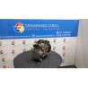 COMPRESSORE A/C 091 SUZUKI SWIFT (04/05-02/11) M13A 9520062JA0000