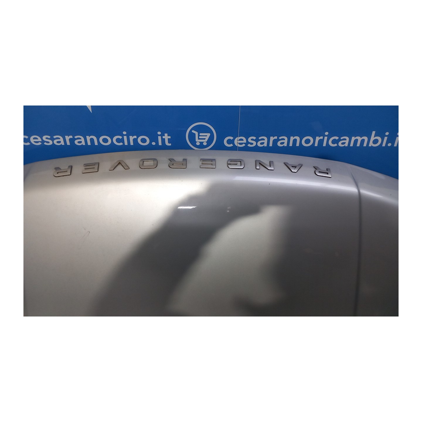 COFANO ANT. 049 LAND ROVER RANGE ROVER SPORT (03/05-) 276DT BKA790050
