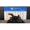 MONTANTE SOSP. ANT. DX. 062 FIAT SEDICI (3B) (02/06-11/11) M16A 71742729