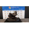 MONTANTE SOSP. ANT. SX. 021 TOYOTA PRIUS 3A SERIE (06/09-06/16) 2ZR FXE 4320247030